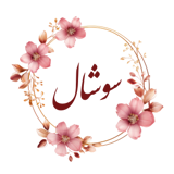 سوشال